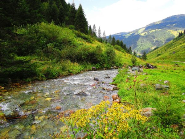 guérir les crises d’angoisse naturellement